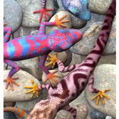 Semn de carte 3D - Geckos - ***