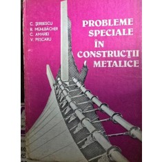 Probleme speciale in constructii metalice - C. Serbescu