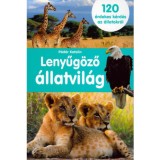 Lenyűg&ouml;ző &aacute;llatvil&aacute;g - 120 &eacute;rdekes k&eacute;rd&eacute;s az &aacute;llatokr&oacute;l - P&aacute;d&aacute;r Katalin