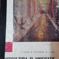 VITICULTURA SI VINIFICATIE