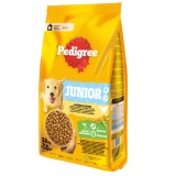 Hrana uscata caini, Pedigree, sac 12 kg, talie medie si mare, junior, carne de pasare si legume