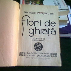 FLORI DE GHIATA - CEZAR PETRESCU