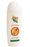 SAMPON CU CATINA-PAR DEGRADAT 200ML, Plant Activ