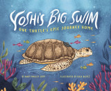 Yoshi&#039;s Big Swim: One Turtle&#039;s Epic Journey Home