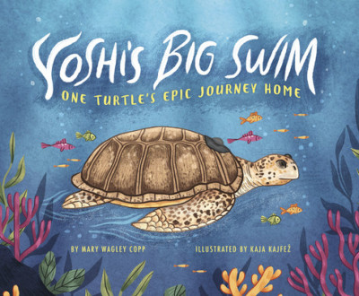 Yoshi&amp;#039;s Big Swim: One Turtle&amp;#039;s Epic Journey Home foto