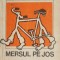 Mersul pe jos - Cornel Udrea