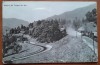 Carte postala, vedere din Timisul de Jos, 1947