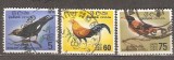 Lot timbre Ceylon &ndash; păsări native, valori 5c&ndash;75c, obliterate -A80