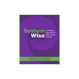 System Wise: Continuous Instructional Improvement at Scale