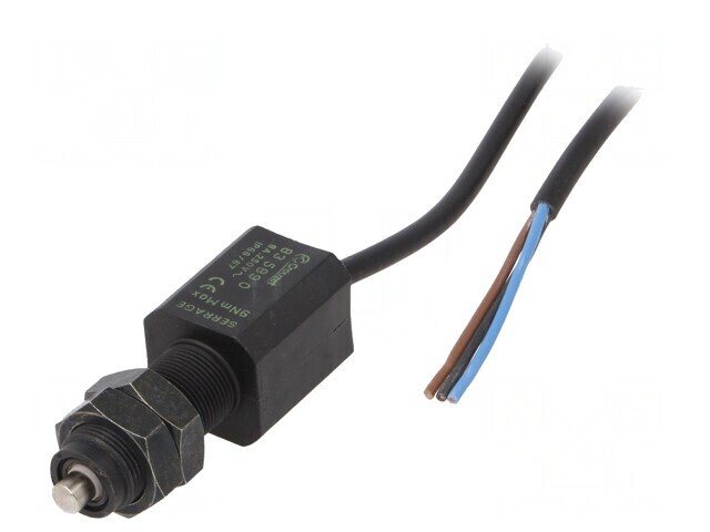 Limitator cursă bolţ &Oslash;6mm cu fixare SPDT 8A