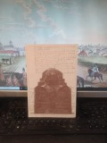 Victoria Zidaru, planșă de prezentare, 1995, biografie, note critice, 123