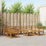 vidaXL Set de canapele de exterior 10 pcs natural Lemn Solid de Acacia 3367032