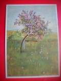 HOPCT 23204 LILIACUL -FERDINAND HODLER [1853-1918] -GERMANIA- CP PICTURA --CIRCULATA