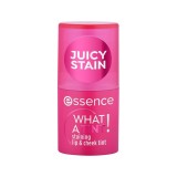 Ruj si fard de obraz stick Nr. 10 Raspberry Vibes What a Tint, 5g, Essence