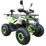 ATV Barton T-Rex 125cc, 4 timpi, roti de 8&quot;, culoare verde Cod Produs: MX_NEW MXTREX125V