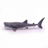 Figurina - Marine Life - Whale Shark | Papo