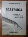 Pastruga, biologie si reproducere artificiala (Sturionii) - Neculai Patriche, Alta editura
