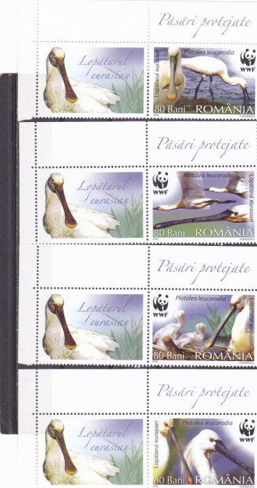 PASARI PROTEJATE ,SERIE CU VINIETA, 2006, MNH ** ROMANIA.