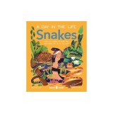Snakes (a Day in the Life): What Do Cobras, Pythons, and Anacondas Get Up to All Day?