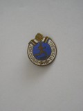 QW9 N5 31 - insigna - tematica sport - Spartachiada tineretului - 1956, Romania de la 1950