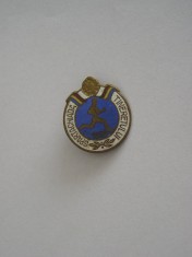 QW9 N5 31 - insigna - tematica sport - Spartachiada tineretului - 1956
