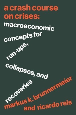 A Crash Course on Crises: Macroeconomic Concepts for Run-Ups, Collapses, and Recoveries foto