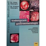 Liana Gheorghe - Vademecum in gastroenterologie (Editia: 2002)