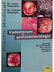 Liana Gheorghe - Vademecum in gastroenterologie (Editia: 2002) foto