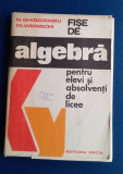 Fise de algebra pentru elevi și absolvenți de licee - N. Ghircoiasiu