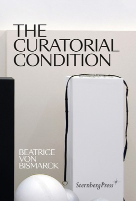 The Curatorial Condition foto