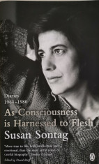 Susan Sontag, DIARIES 1964-1980: AS CONSCIOUSNESS IS HARNESSED TO FLESH foto