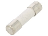 Siguranță &Icirc;nt&acirc;rziere 100mA 250V 5x20mm