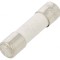 Siguranță &Icirc;nt&acirc;rziere 100mA 250V 5x20mm
