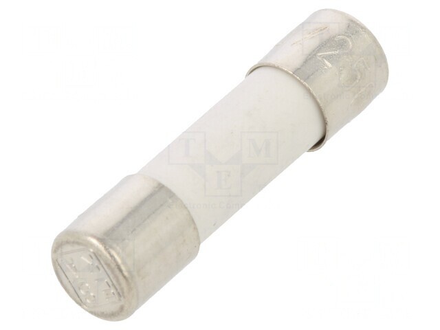 Siguranță &Icirc;nt&acirc;rziere 100mA 250V 5x20mm