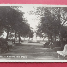 Dobrogea Tulcea Vedere din parc statuie