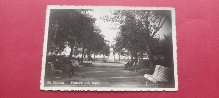 Dobrogea Tulcea Vedere din parc statuie