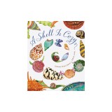 A Shell Is Cozy