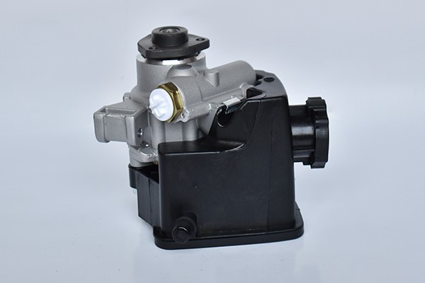 Pompa Servodirectie 64503 NGH 01.10.028