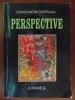 Perspective-Constantin Ciopraga