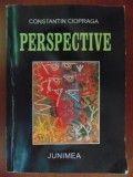 Perspective-Constantin Ciopraga