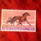 Serie 1 valoare Noua Zeelanda - 1970 Calarie