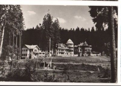 CPIB 15836 CARTE POSTALA - BORSEC, CASE DE ODIHNA, RPR foto