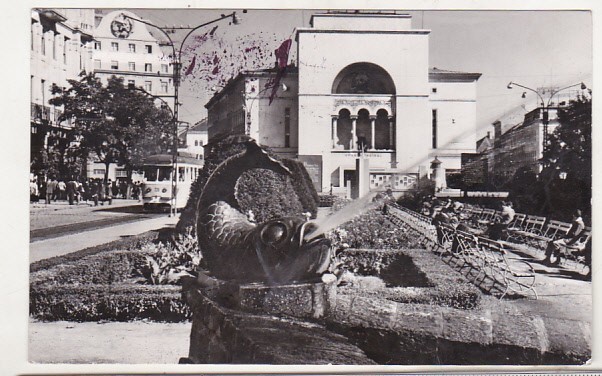 bnk cp Timisoara - Pe b-dul 30 Decembrie - circulata