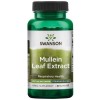 Extract Standardizat Mullein Leaf 250 miligrame 60 capsule Swanson, Swanson Health Products