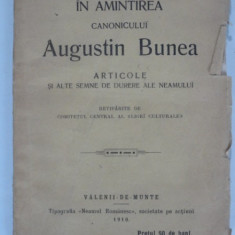 IN AMINTIREA CANONICULUI AUGUSTIN BUNEA