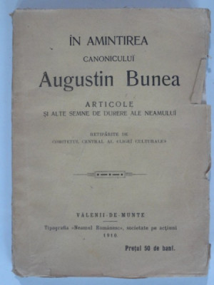 IN AMINTIREA CANONICULUI AUGUSTIN BUNEA foto