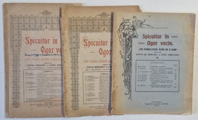 SPICUITOR IN OGOR VECIN , STIRI ISTORICO - LITERARE DESPRE NOI SI VECINI , ANUL I , FASCICULELE 1-3 / 4-12 , 1920 si NR. 3 DIN 1924 , 3 CARTI foto