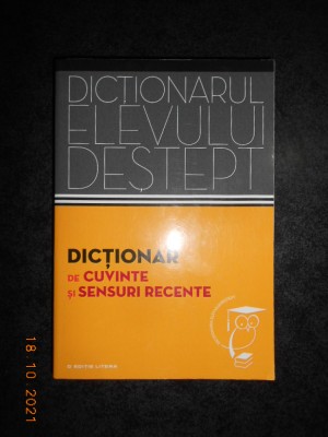 ANDREI DANILA, ELENA TAMBA - DICTIONAR DE CUVINTE SI SENSURI RECENTE foto