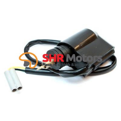 Soc electric Piaggio / Yamaha foto