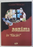 ROMANIA IN &amp;amp,amp,quot, FLACARI &amp;amp,amp,quot, de COSTEL NEACSU , 2015